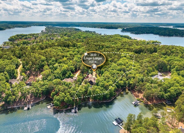2030 Linger Longer Dr, Greensboro, GA 30642 - bird's eye view featuring a wooded view and a water view