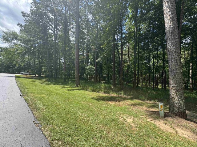 1101 Bennett Springs Dr, Greensboro, GA 30642 - photo 2