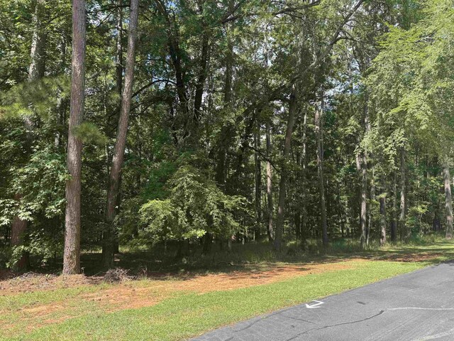 1101 Bennett Springs Dr, Greensboro, GA 30642 - photo 1
