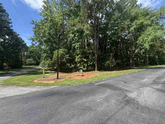 1101 Bennett Springs Dr, Greensboro, GA 30642 - photo 3