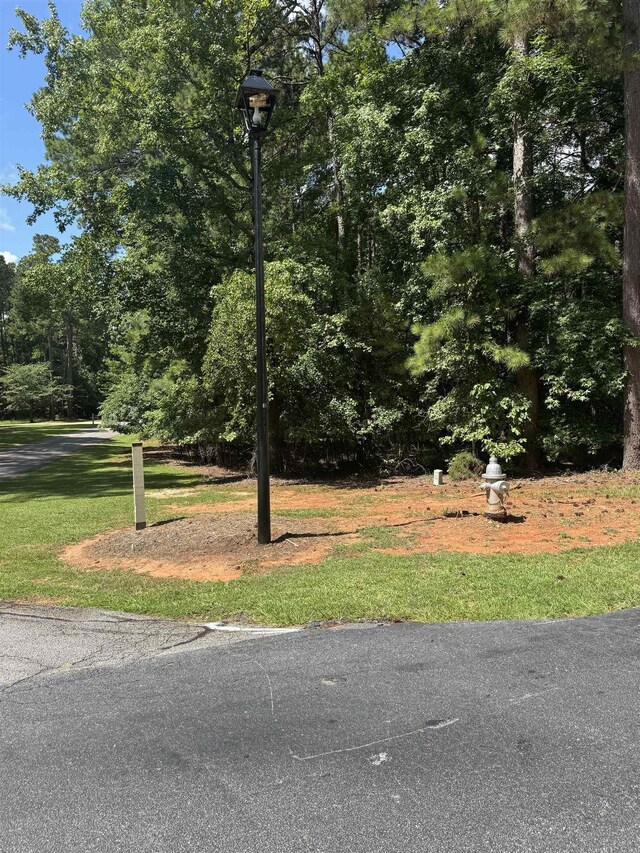 1101 Bennett Springs Dr, Greensboro, GA 30642 - photo 4