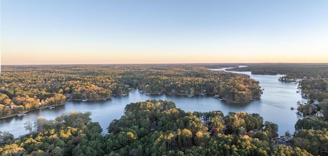 aerial view at dusk with a water view and a view of trees