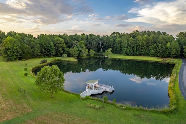 2070 Walter Shepard Rd, Rutledge, GA 30663 - photo 64