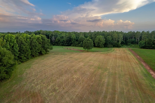 2070 Walter Shepard Rd, Rutledge, GA 30663 - photo 70