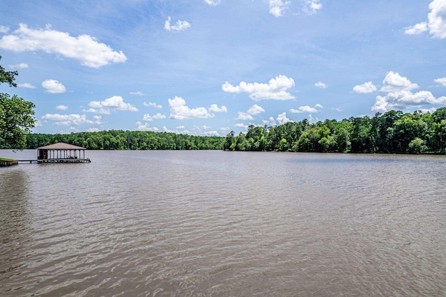 138B Little River Run, Eatonton, GA 31024 - water view featuring a heavily wooded area and a boat dock