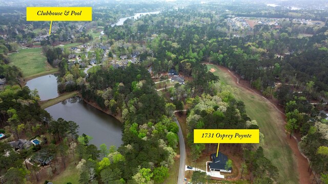 1731 Osprey Poynte, Greensboro, GA 30642 - birds eye view of property featuring a water view