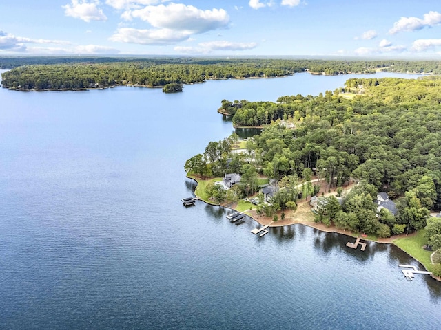 aerial view featuring a water view and a forest view