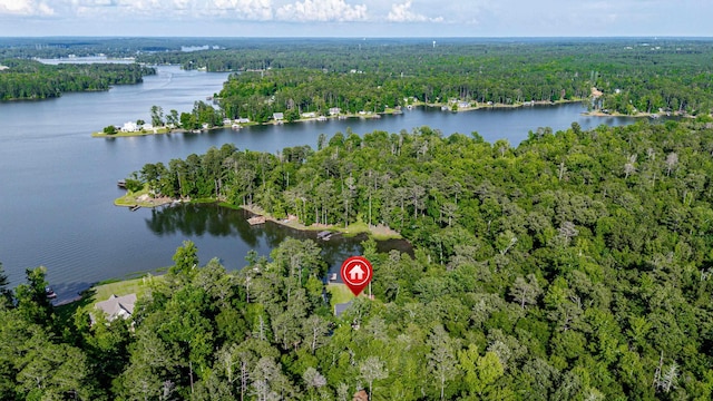 1005 Dennis St, Eatonton, GA 31024 - aerial view of property's location with a forest and a nearby body of water