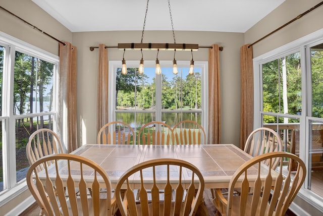 1005 Dennis St, Eatonton, GA 31024 - dining area featuring plenty of natural light
