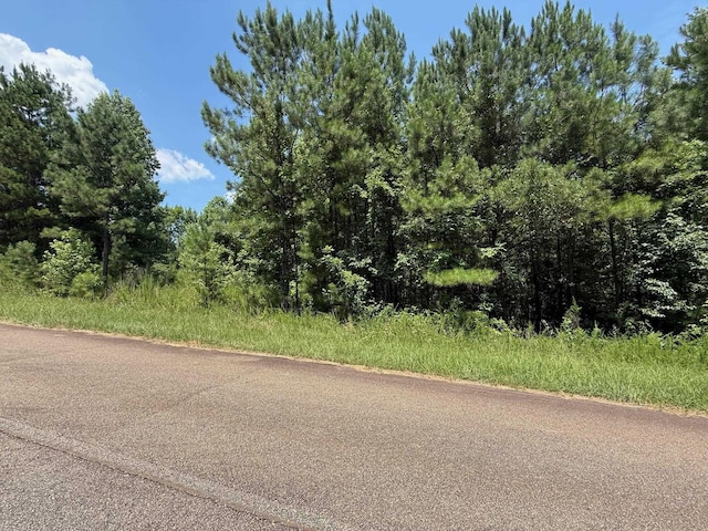 708 Parham Rd, Milledgeville, GA 30161 - photo 19