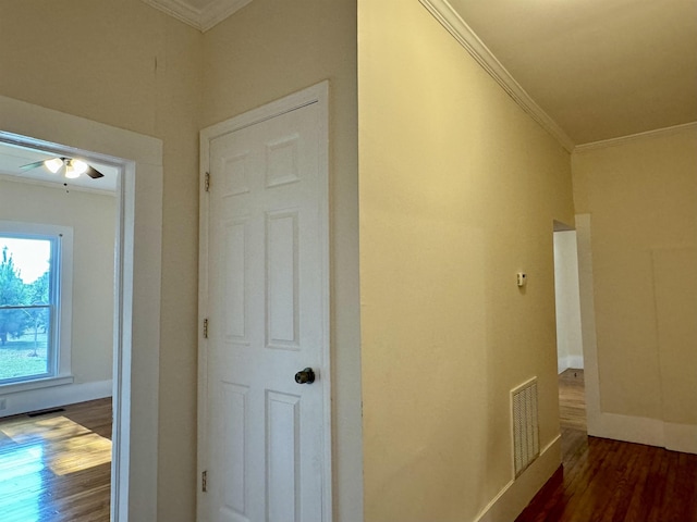 hallway featuring dark wood-type flooring and ornamental molding