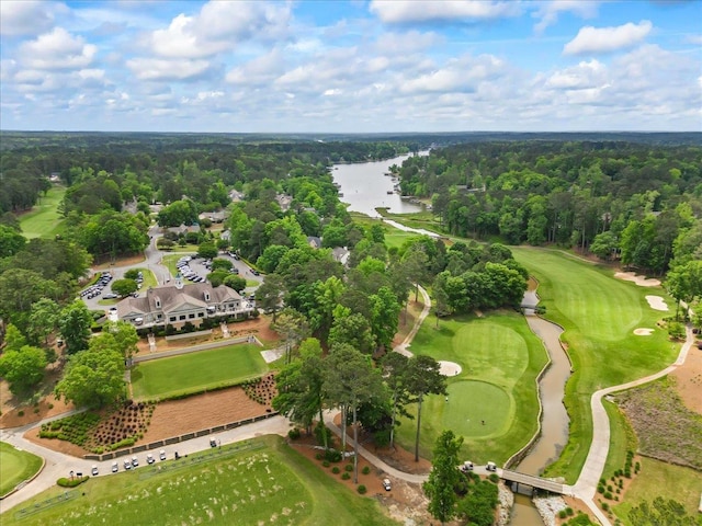 1030 Mira Vista Cv, Greensboro, GA 30642 - photo 47