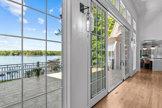 doorway featuring a water view, light hardwood / wood-style floors, a healthy amount of sunlight, and a towering ceiling