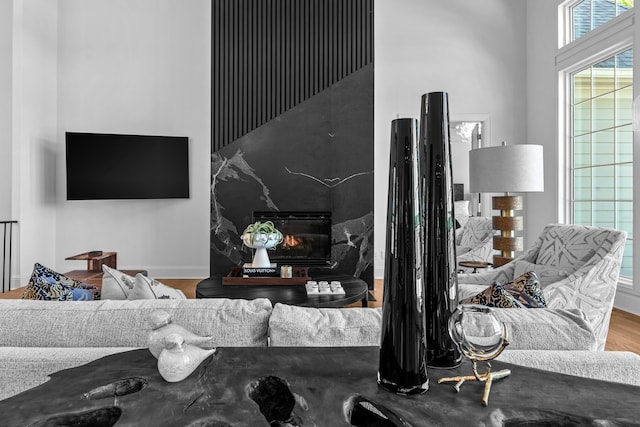 living room featuring a fireplace and hardwood / wood-style floors