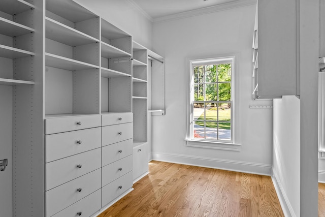 walk in closet featuring light hardwood / wood-style floors