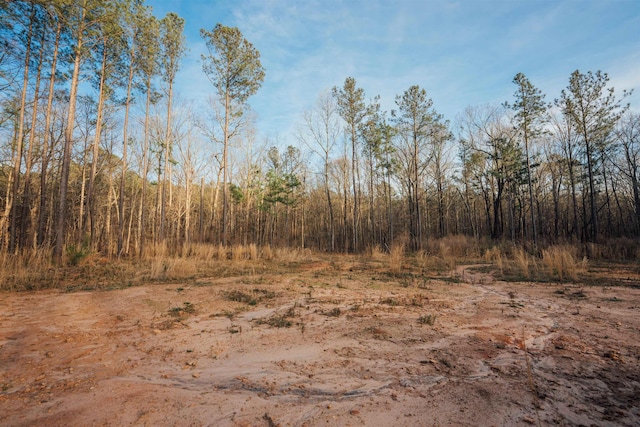 28.61ACRES Sandy Creek Rd, Madison, GA 30650