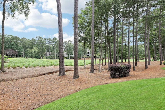 1010A Creekside, Greensboro, GA 30642 - view of yard with view of scattered trees