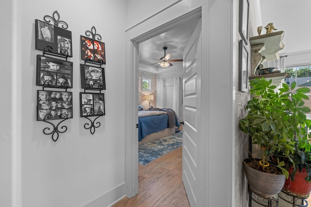 1181 Hidden Hills Cir, Greensboro, GA 30642 - hallway featuring wood finished floors
