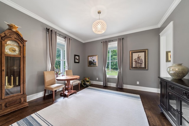 855 Jasper St, Madison, GA 30650 - living area with plenty of natural light, dark wood-style flooring, and crown molding