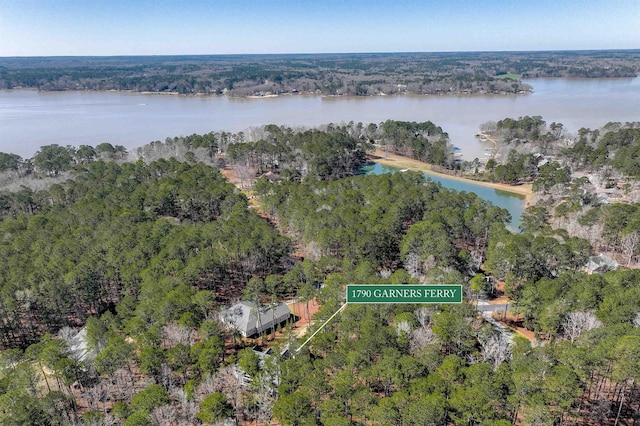 drone / aerial view featuring a forest view and a water view