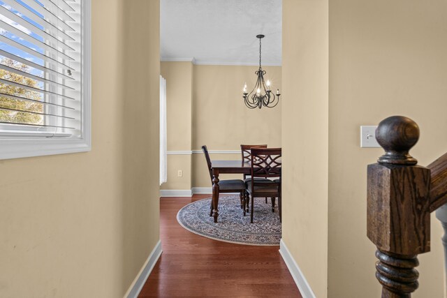 interior space with a notable chandelier, crown molding, and dark hardwood / wood-style floors