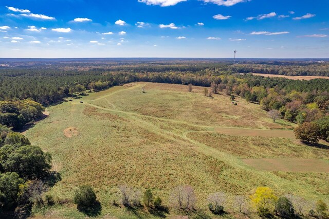 LOT13 Wallace Rd, Madison, GA 30650 - photo 4