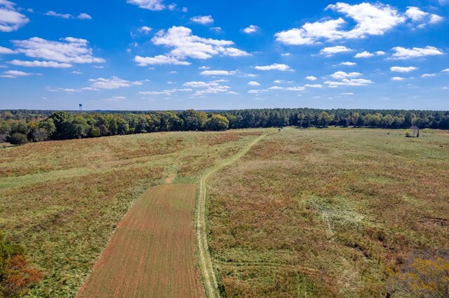 LOT13 Wallace Rd, Madison, GA 30650 - photo 5