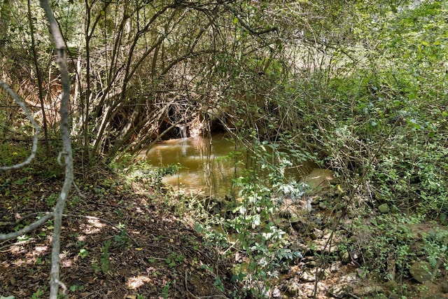1027 Harper St, Madison, GA 30650 - view of local wilderness