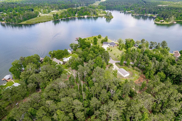 32 Lily Pt, Sparta, GA 31087 - aerial view of property's location with a forest and a large body of water