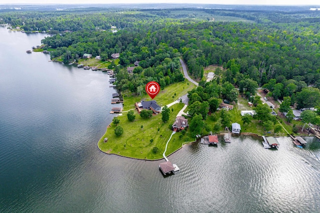 32 Lily Pt, Sparta, GA 31087 - aerial view of a large body of water and a forest
