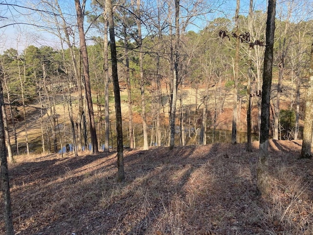 Listing photo 2 for 1060 Dejarnet Pl, Greensboro GA 30642