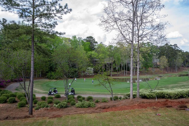 5010 Browns Ford Rd, Greensboro, GA 30642 - photo 13