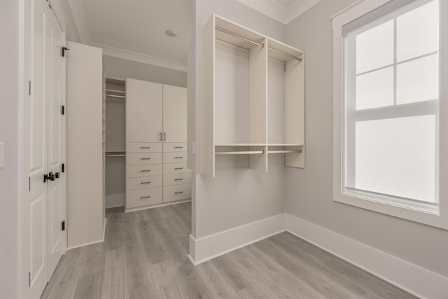 walk in closet with light hardwood / wood-style flooring