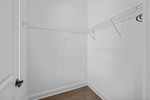 spacious closet featuring dark wood-style flooring