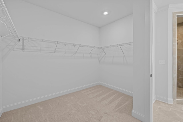 walk in closet featuring carpet flooring