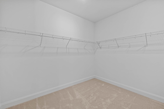 spacious closet with carpet flooring