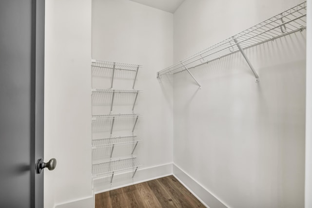 spacious closet with dark hardwood / wood-style floors