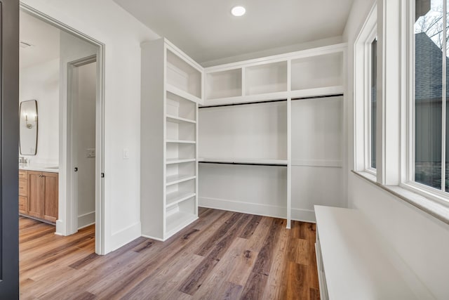 spacious closet featuring dark hardwood / wood-style floors