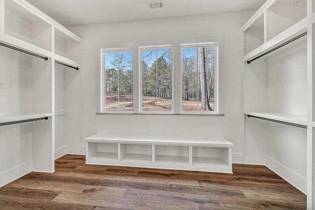 spacious closet featuring wood-type flooring