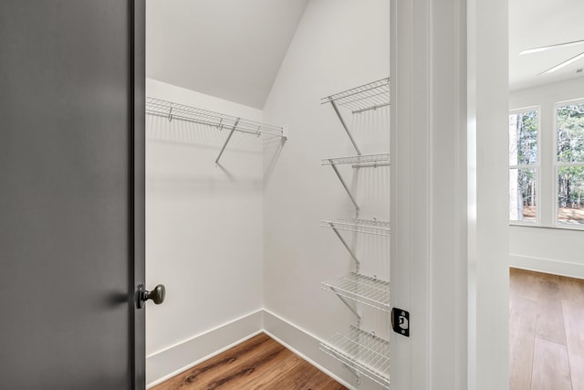 spacious closet featuring hardwood / wood-style floors