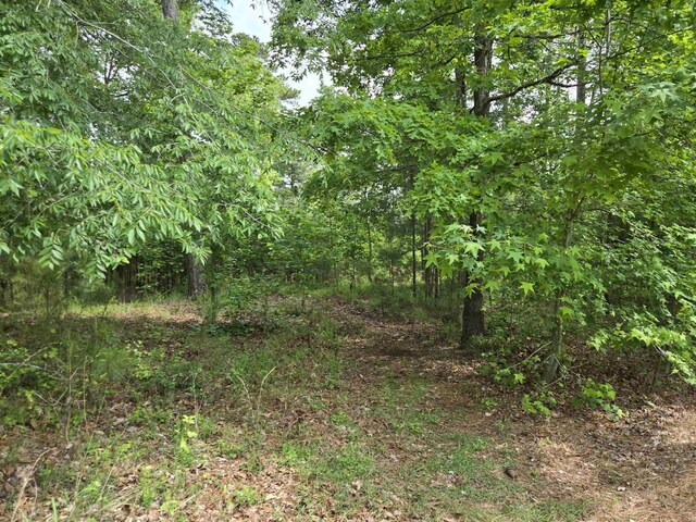 1010 Bunker Bnd, Greensboro, GA 30642 - photo 8