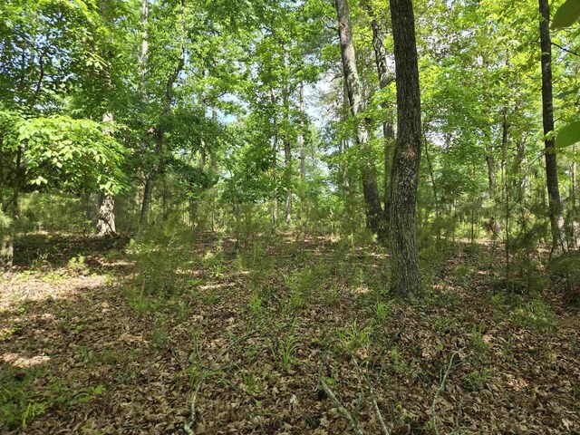 1010 Bunker Bnd, Greensboro, GA 30642 - photo 6