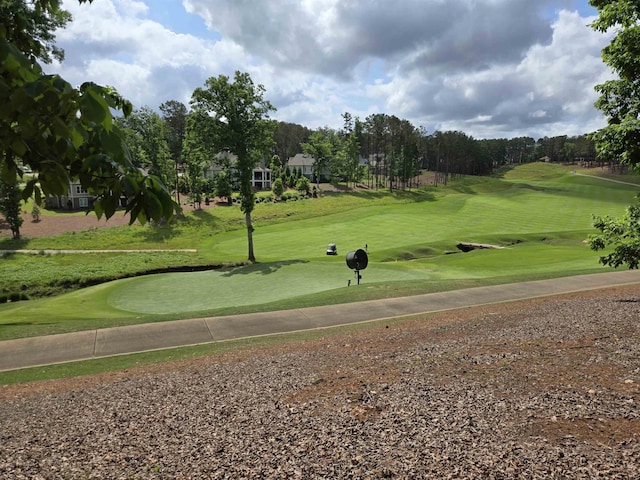1010 Bunker Bnd, Greensboro, GA 30642 - photo 2