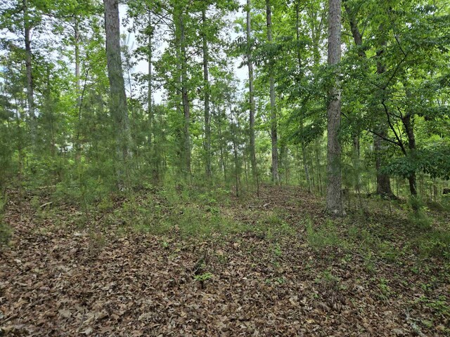 1010 Bunker Bnd, Greensboro, GA 30642 - photo 7