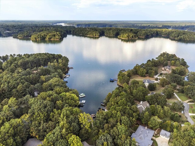 birds eye view of property featuring a water view and a view of trees