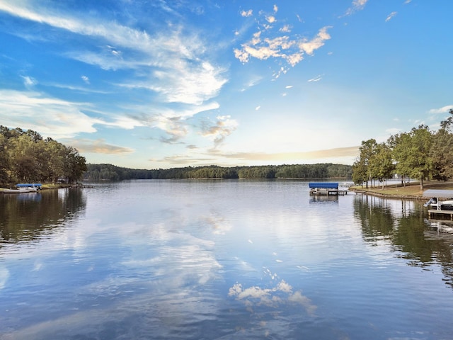 water view featuring a dock