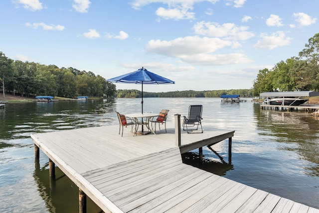 dock area with a water view