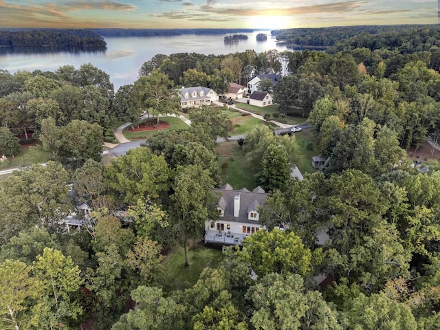 birds eye view of property featuring a forest view and a water view