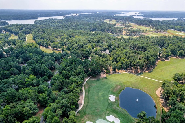 1191 Linger Longer Dr, Greensboro, GA 30642 - aerial overview of property's location featuring a large body of water