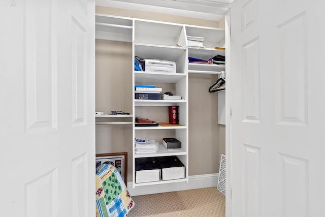 1191 Linger Longer Dr, Greensboro, GA 30642 - view of closet